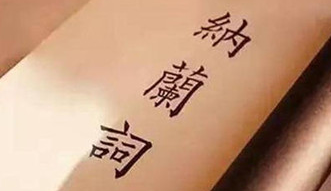 纳兰性德的主要成就体现在哪些方面？