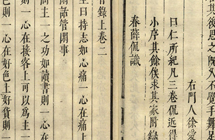 阳明心学的理论结构是怎么样的？