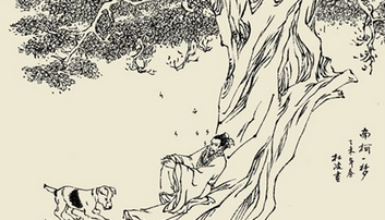 汤显祖的《南柯记》的艺术特色有哪些？