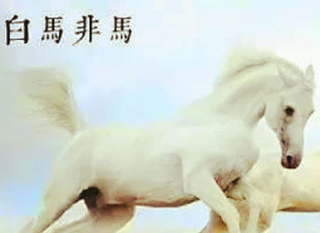 逻辑学家公孙龙提出的白马非马具体是什么问题？