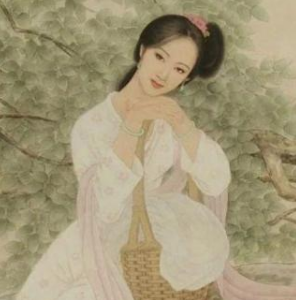 胡淑修是什么让人？历史上关于她的都有哪些趣事？