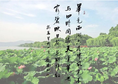 杨万里对文学史有什么贡献？他的诗歌有什么特点？