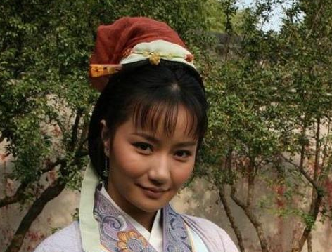 宋朝苏东坡和他的三位夫人王弗、王闰之和王朝云